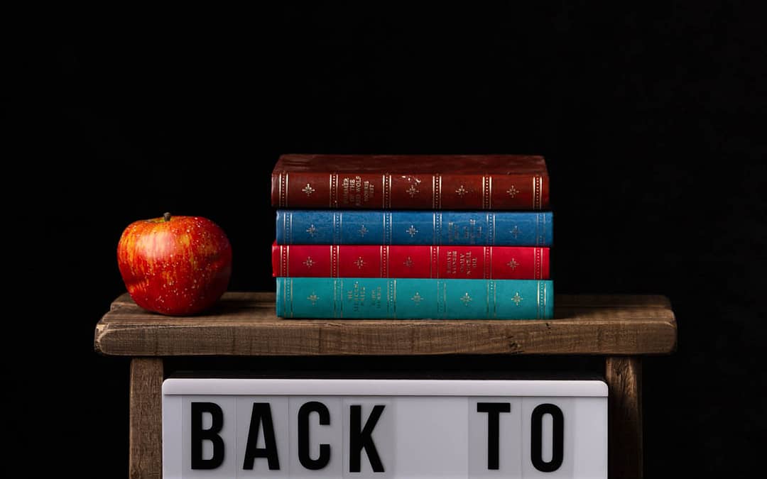 Back To School Mini Sessions