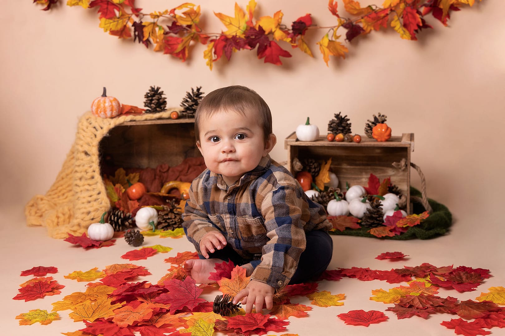 Little sitter photoshoot sutton coldfield