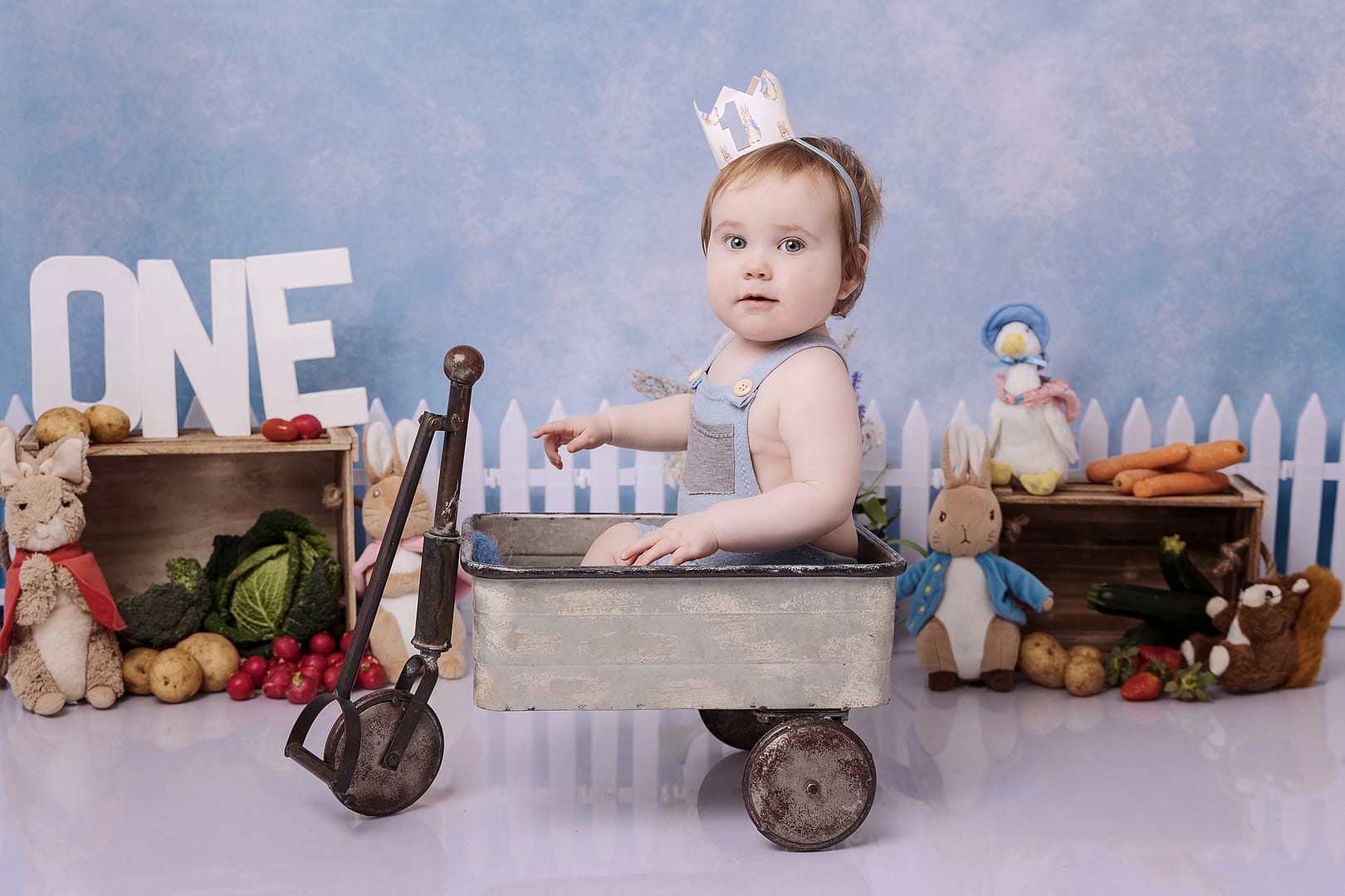 Garden Rabbit themed first birthday photos taken with little one year old boy sat in a pull along tin cart, taken at the cake smash photoshoot in Sutton Coldfield birmingham