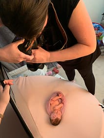 Newborn Photography sutton coldfield