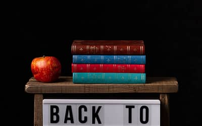 Back To School Mini Sessions