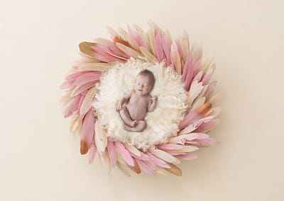 Newborn photographer Sutton coldfield